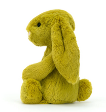 Load image into Gallery viewer, Bashful Zingy Bunny
