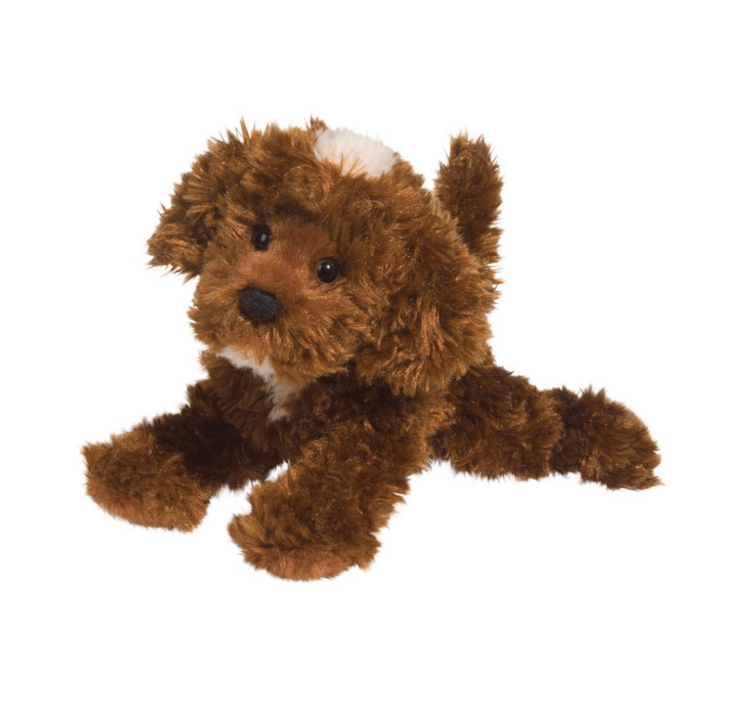Bosco Chocolate Labradoodle