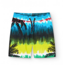 Load image into Gallery viewer, Boboli Beach Party Bermuda Shorts
